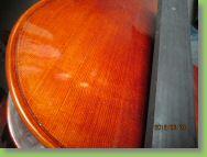 9500 CELLO d.jpg